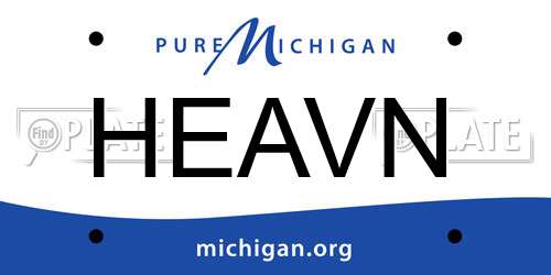 HEAVN Michigan License Plate