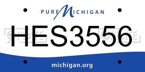 HES3556 Michigan License Plate