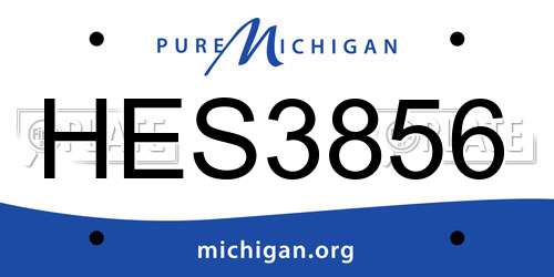 HES3856 Michigan License Plate