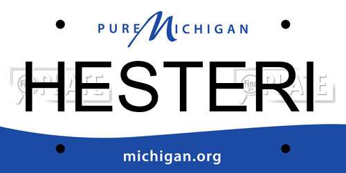 HESTERI Michigan License Plate