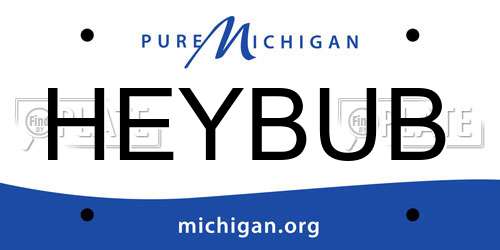 HEYBUB Michigan License Plate