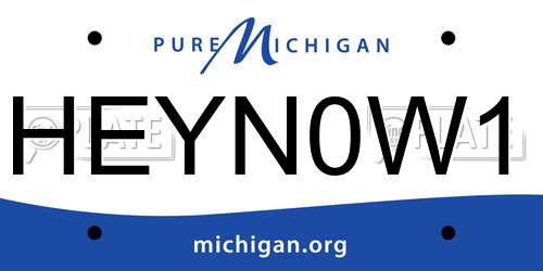 HEYN0W1 Michigan License Plate
