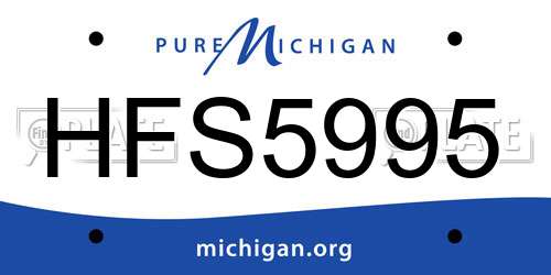 HFS5995 Michigan License Plate