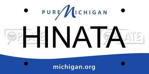 HINATA Michigan License Plate