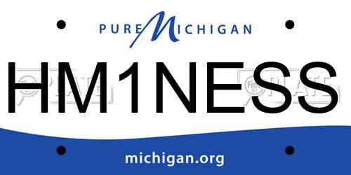 HM1NESS Michigan License Plate