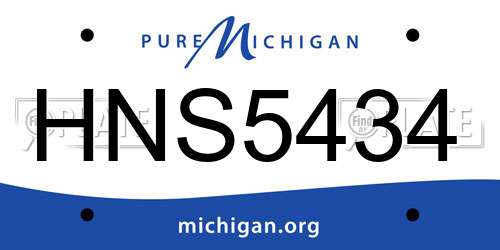 HNS5434 Michigan License Plate