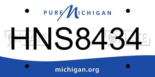 HNS8434 Michigan License Plate