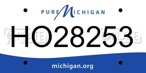 HO28253 Michigan License Plate