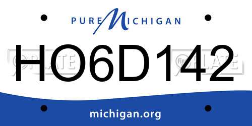 HO6D142 Michigan License Plate