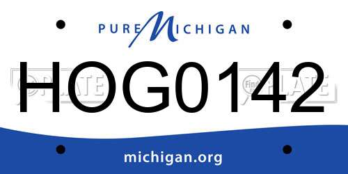 HOG0142 Michigan License Plate