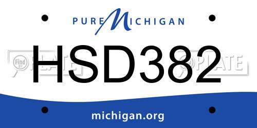 HSD382 Michigan License Plate