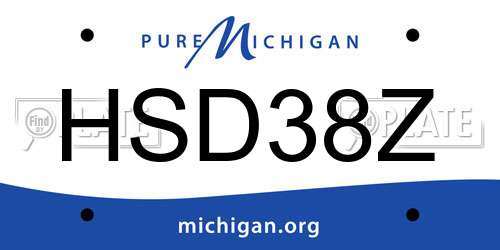HSD38Z Michigan License Plate