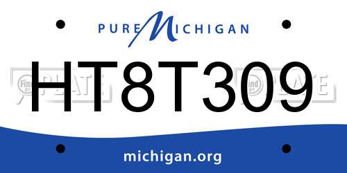 HT8T309 Michigan License Plate