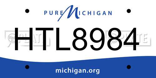 HTL8984 Michigan License Plate