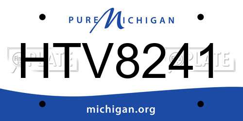 HTV8241 Michigan License Plate