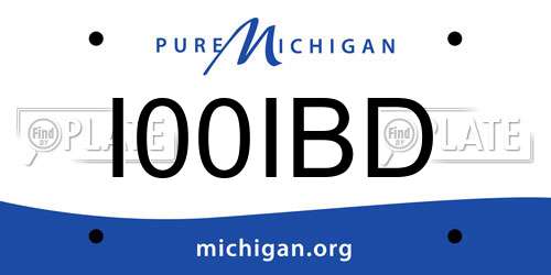 I00IBD Michigan License Plate