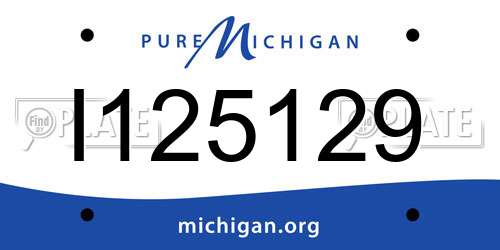 I125129 Michigan License Plate