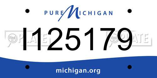I125179 Michigan License Plate