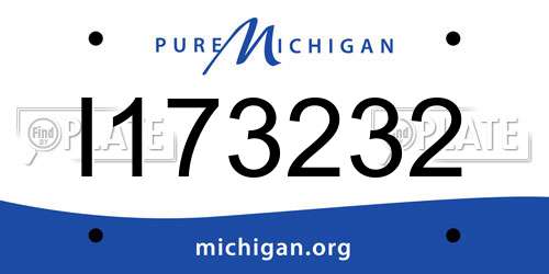 I173232 Michigan License Plate