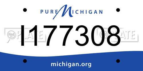 I177308 Michigan License Plate