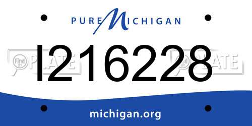 I216228 Michigan License Plate