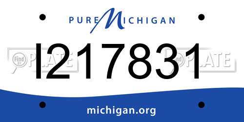 I217831 Michigan License Plate