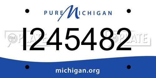 I245482 Michigan License Plate
