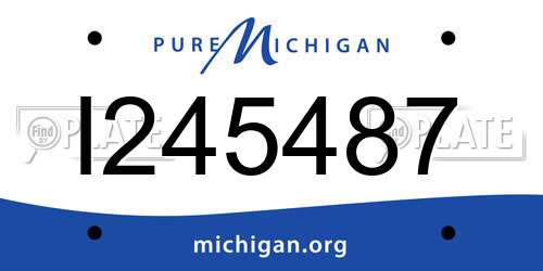 I245487 Michigan License Plate