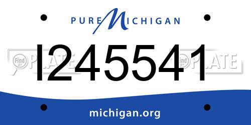 I245541 Michigan License Plate