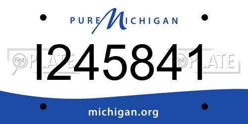I245841 Michigan License Plate