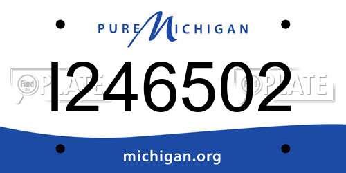 I246502 Michigan License Plate