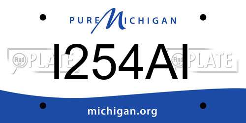 I254AI Michigan License Plate