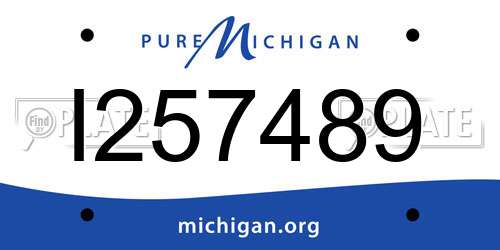 I257489 Michigan License Plate