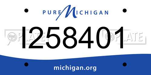 I258401 Michigan License Plate
