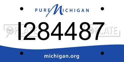 I284487 Michigan License Plate