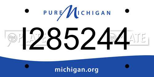 I285244 Michigan License Plate