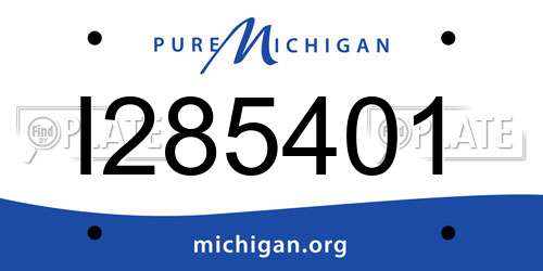 I285401 Michigan License Plate