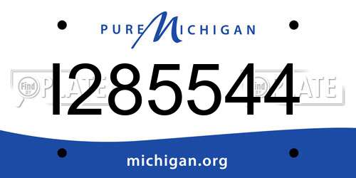 I285544 Michigan License Plate