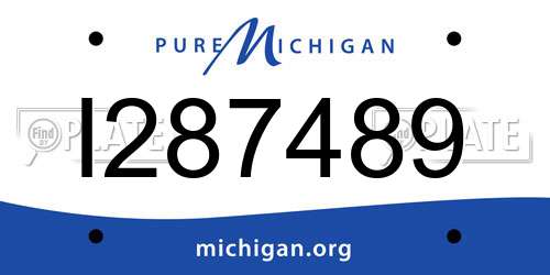 I287489 Michigan License Plate
