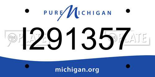 I291357 Michigan License Plate