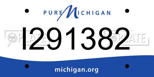 I291382 Michigan License Plate