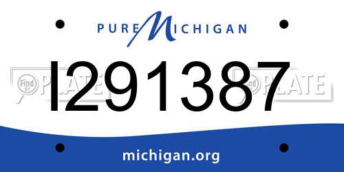 I291387 Michigan License Plate