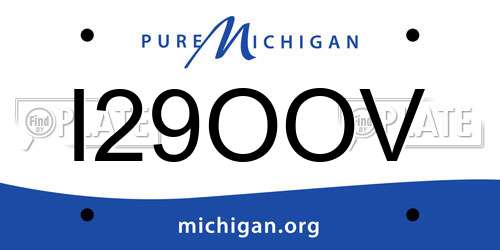 I29OOV Michigan License Plate