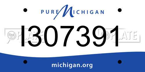 I307391 Michigan License Plate