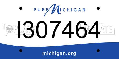 I307464 Michigan License Plate