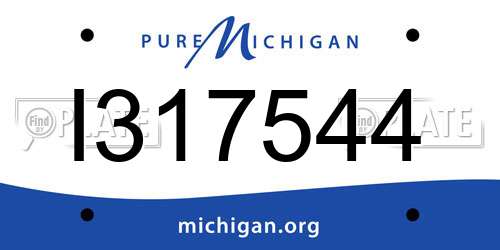 I317544 Michigan License Plate