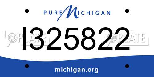I325822 Michigan License Plate