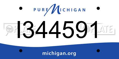 I344591 Michigan License Plate