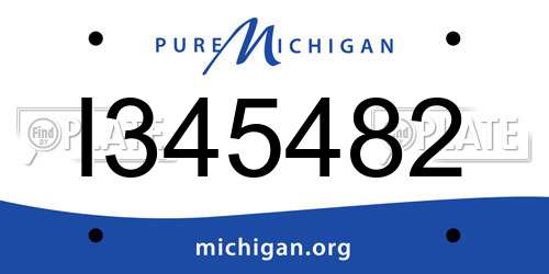 I345482 Michigan License Plate