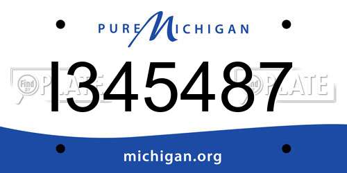 I345487 Michigan License Plate